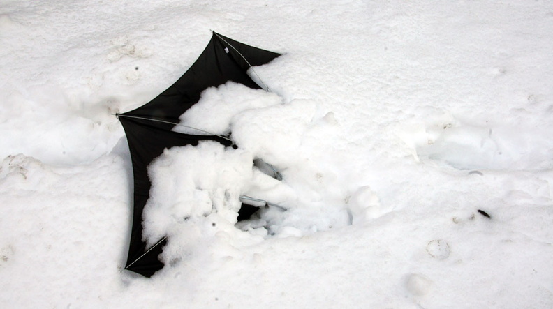 Discarded Umbrella Carcasses, NYC