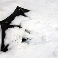 Discarded Umbrella Carcasses, NYC