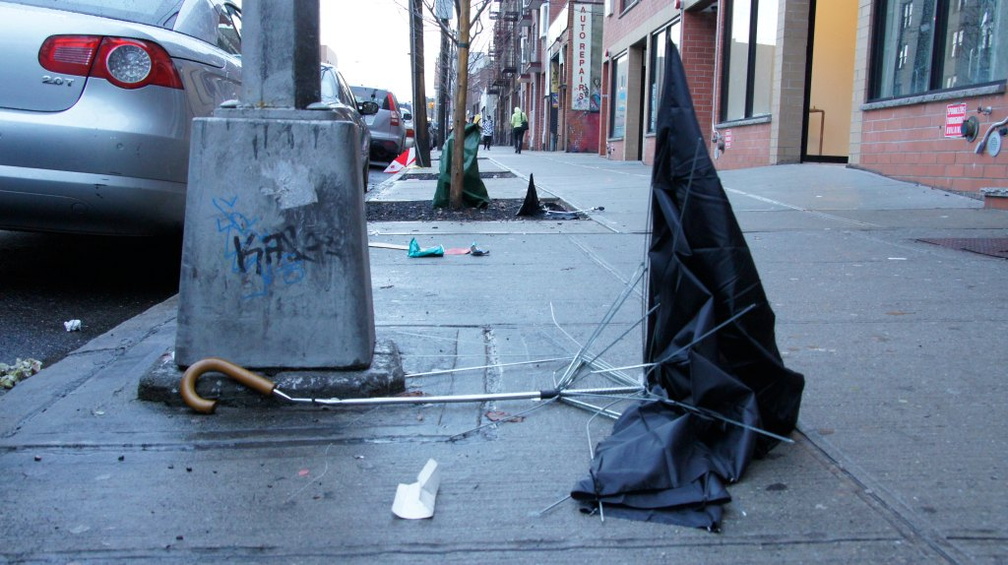 Discarded Umbrella Carcasses, NYC