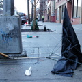 Discarded Umbrella Carcasses, NYC