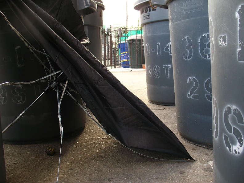 Discarded Umbrella Carcasses, NYC