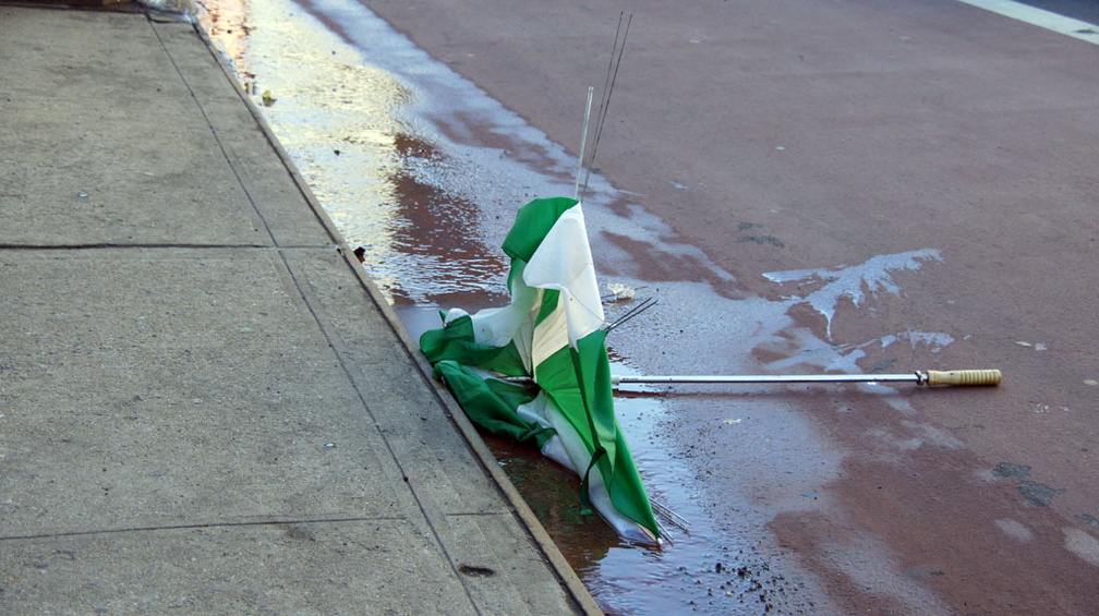 Discarded Umbrella Carcasses, NYC