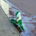 Discarded Umbrella Carcasses, NYC