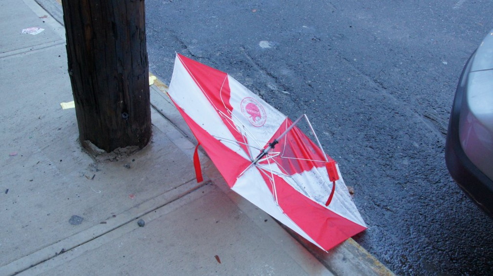 Discarded Umbrella Carcasses, NYC