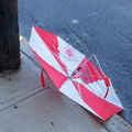 Discarded Umbrella Carcasses, NYC