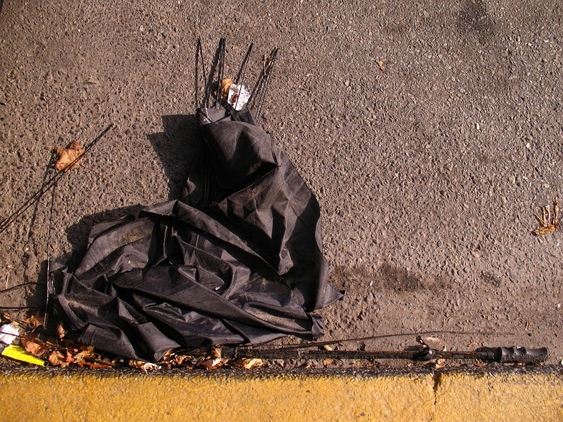 Discarded Umbrella Carcasses, NYC