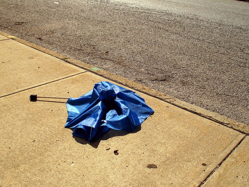 Discarded Umbrella Carcasses, NYC