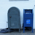 Discarded Umbrella Carcasses, NYC