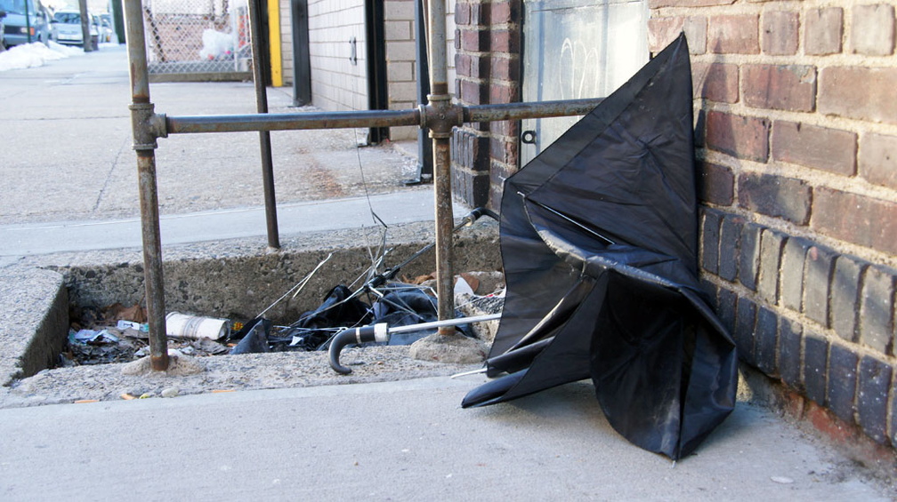 Discarded Umbrella Carcasses, NYC