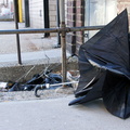 Discarded Umbrella Carcasses, NYC