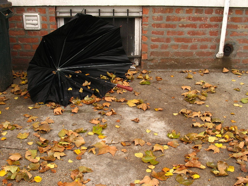 Discarded Umbrella Carcasses, NYC