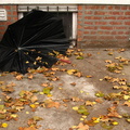 Discarded Umbrella Carcasses, NYC