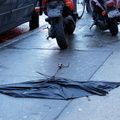 Discarded Umbrella Carcasses, NYC