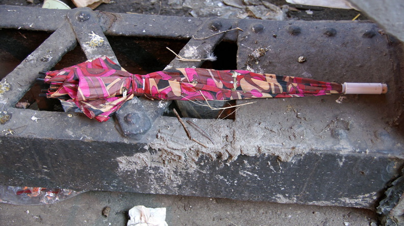 Discarded Umbrella Carcasses, NYC