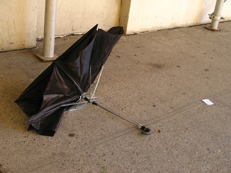 Discarded Umbrella Carcasses, NYC