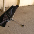 Discarded Umbrella Carcasses, NYC