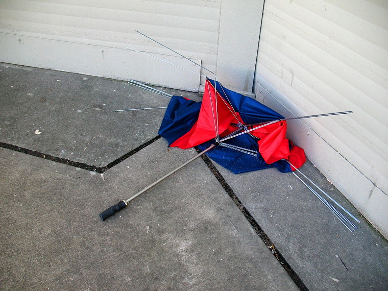 Discarded Umbrella Carcasses, NYC