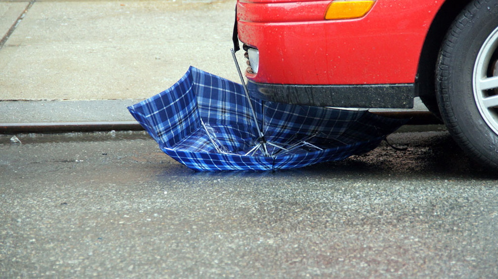 Discarded Umbrella Carcasses, NYC