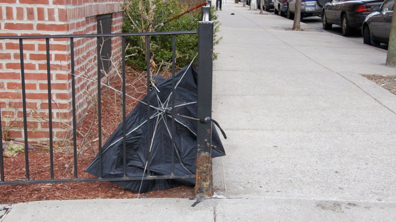 Discarded Umbrella Carcasses, NYC