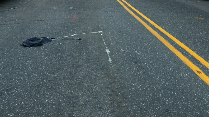 Discarded Umbrella Carcasses, NYC