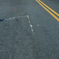 Discarded Umbrella Carcasses, NYC