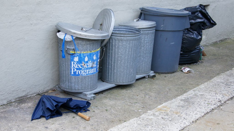 Discarded Umbrella Carcasses, NYC