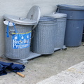 Discarded Umbrella Carcasses, NYC