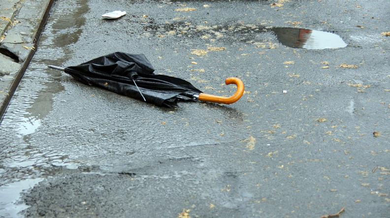 Discarded Umbrella Carcasses, NYC