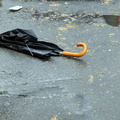 Discarded Umbrella Carcasses, NYC