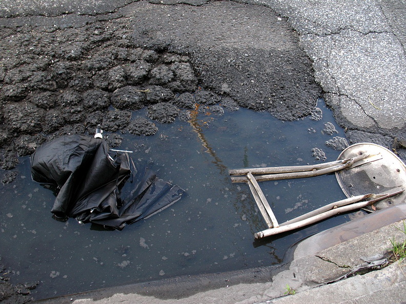 Discarded Umbrella Carcasses, NYC