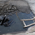 Discarded Umbrella Carcasses, NYC