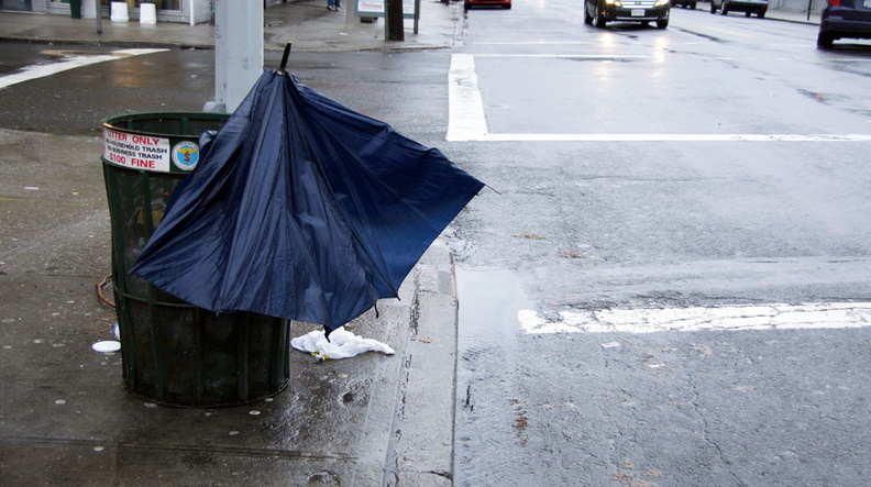 Discarded Umbrella Carcasses, NYC