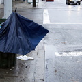 Discarded Umbrella Carcasses, NYC