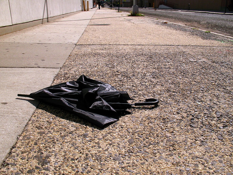 Discarded Umbrella Carcasses, NYC