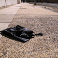 Discarded Umbrella Carcasses, NYC