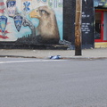 Discarded Umbrella Carcasses, NYC