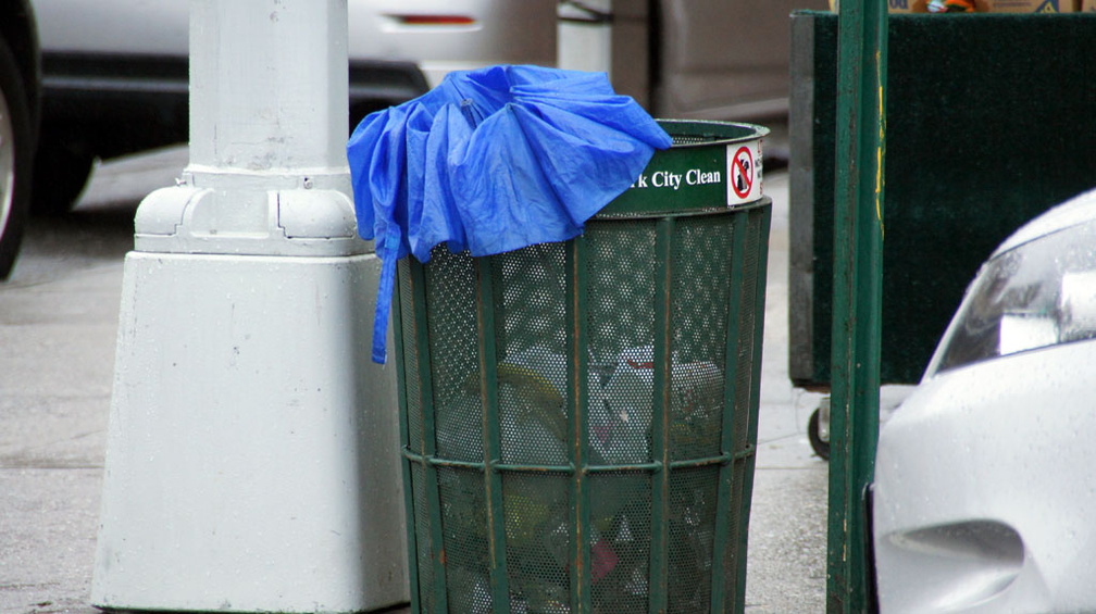 Discarded Umbrella Carcasses, NYC