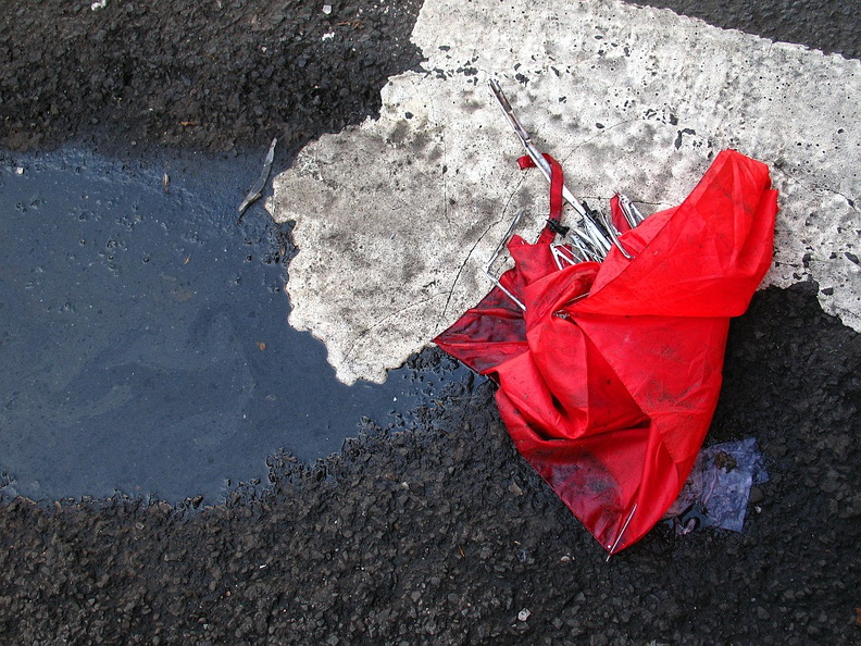 Discarded Umbrella Carcasses, NYC