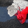 Discarded Umbrella Carcasses, NYC