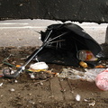 Discarded Umbrella Carcasses, NYC