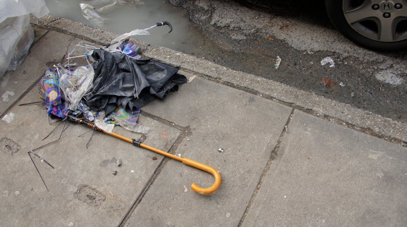 Discarded Umbrella Carcasses, NYC