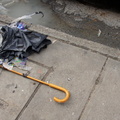 Discarded Umbrella Carcasses, NYC