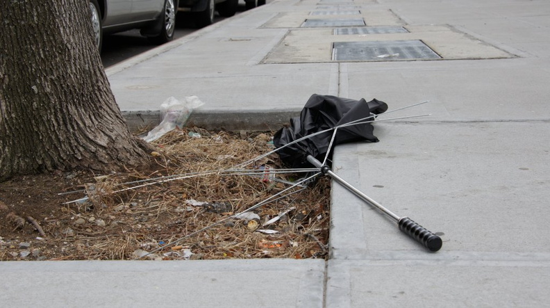 Discarded Umbrella Carcasses, NYC