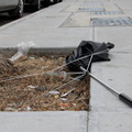 Discarded Umbrella Carcasses, NYC