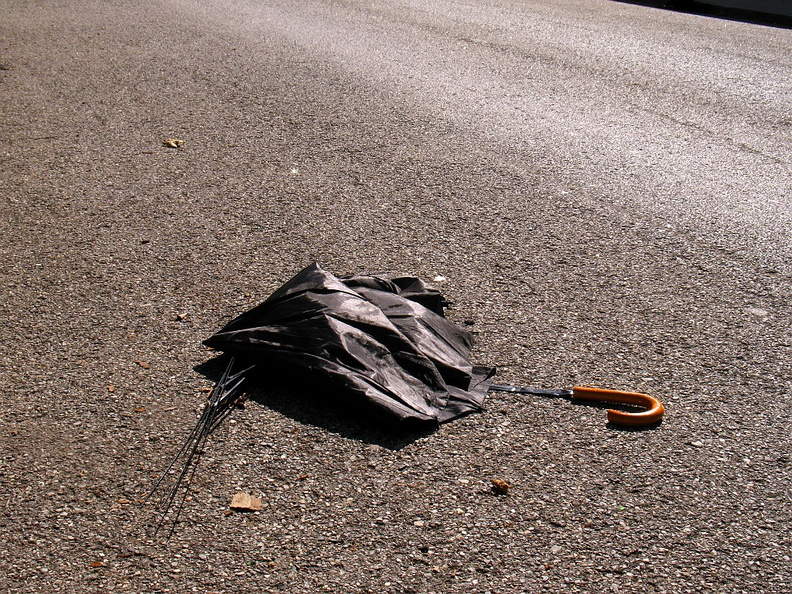 Discarded Umbrella Carcasses, NYC