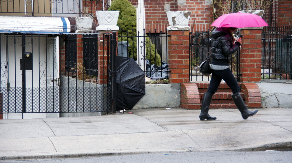 Discarded Umbrella Carcasses, NYC