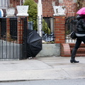 Discarded Umbrella Carcasses, NYC