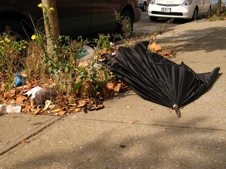 Discarded Umbrella Carcasses, NYC