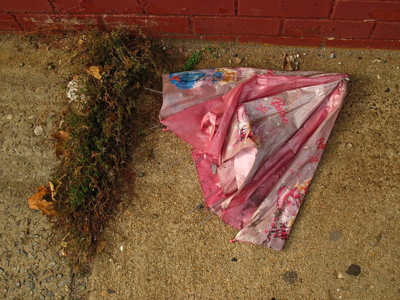 Discarded Umbrella Carcasses, NYC