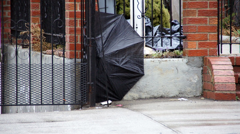 Discarded Umbrella Carcasses, NYC